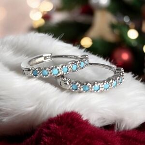 Silver Huggies with blue accent